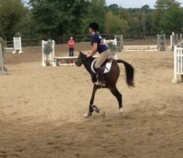 When Horses Get a Panorama Makeover