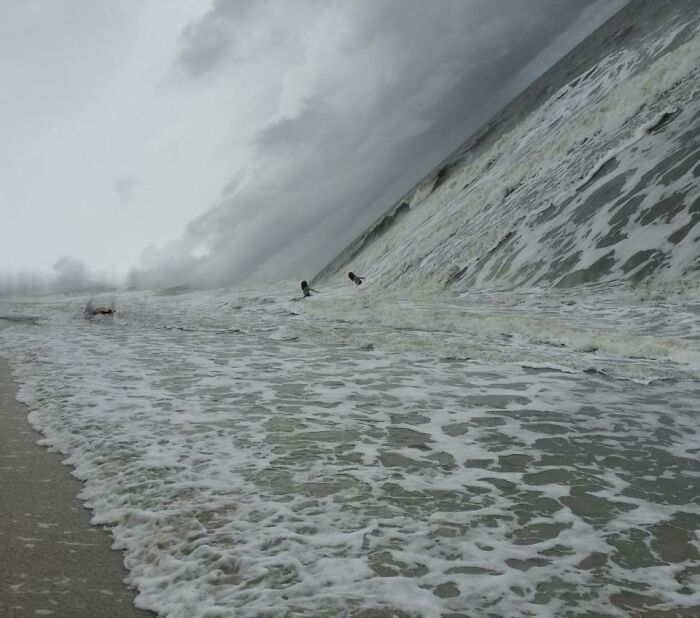 Panorama Fail Alert