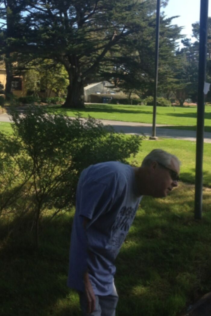 Dad Turned into The Hunchback Thanks to Panorama