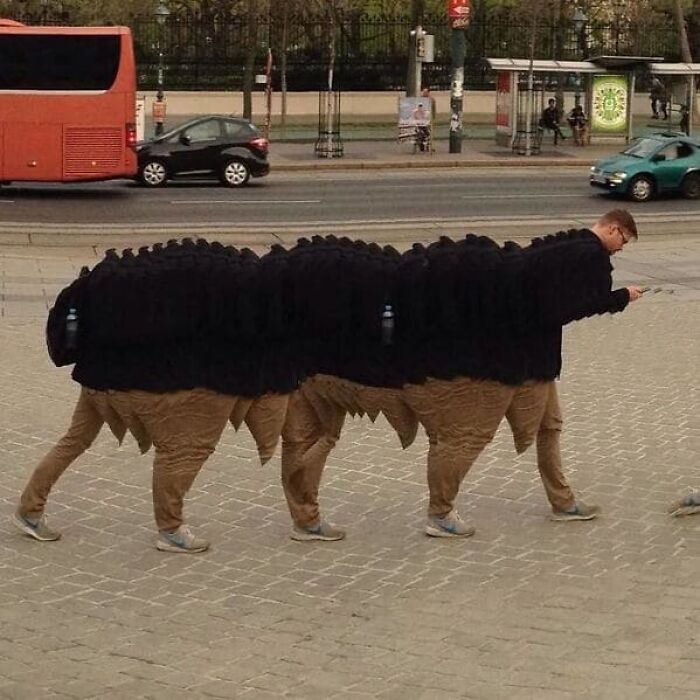 This Guy: A Panorama Legend