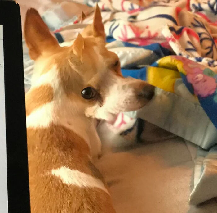 He’s Got His Eye on You—Literally