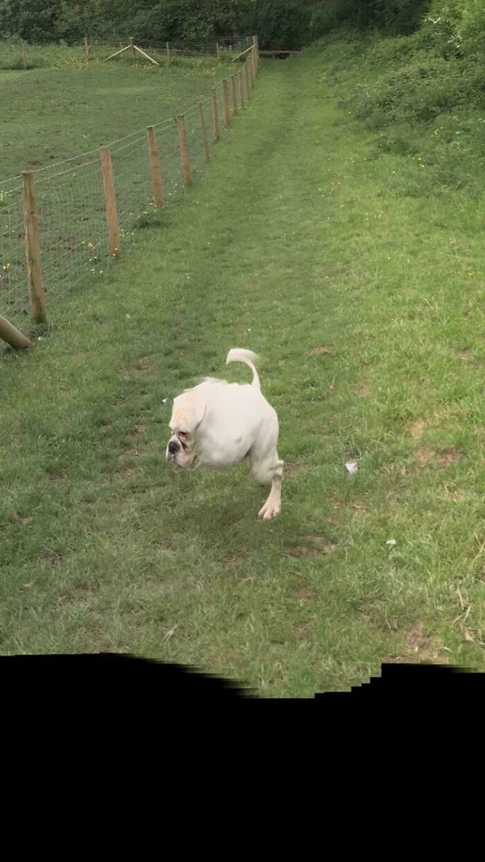 Dedicated Panorama Fail Enthusiast