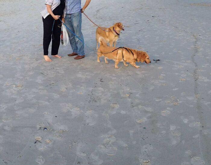 Too Impatient for Panorama, Apparently