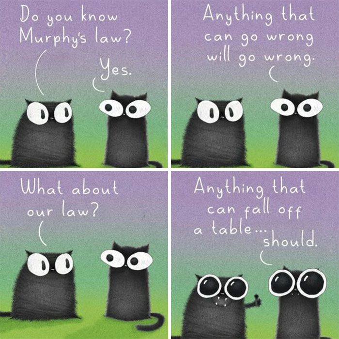 30 Cat Illustrations That Nail The Weirdness Of Living With Cats