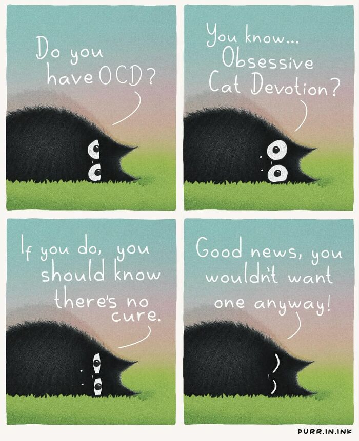 30 Cat Illustrations That Nail The Weirdness Of Living With Cats