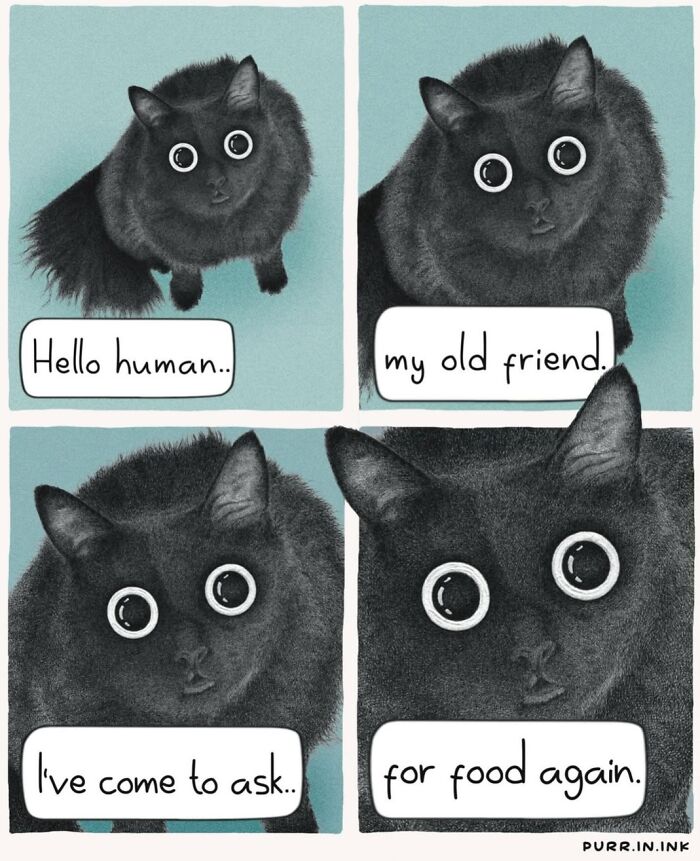 30 Cat Illustrations That Nail The Weirdness Of Living With Cats