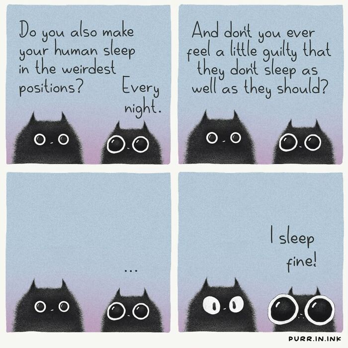 30 Cat Illustrations That Nail The Weirdness Of Living With Cats