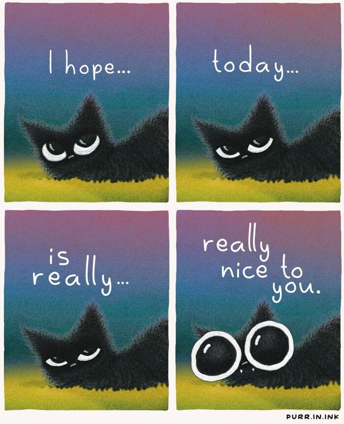 30 Cat Illustrations That Nail The Weirdness Of Living With Cats