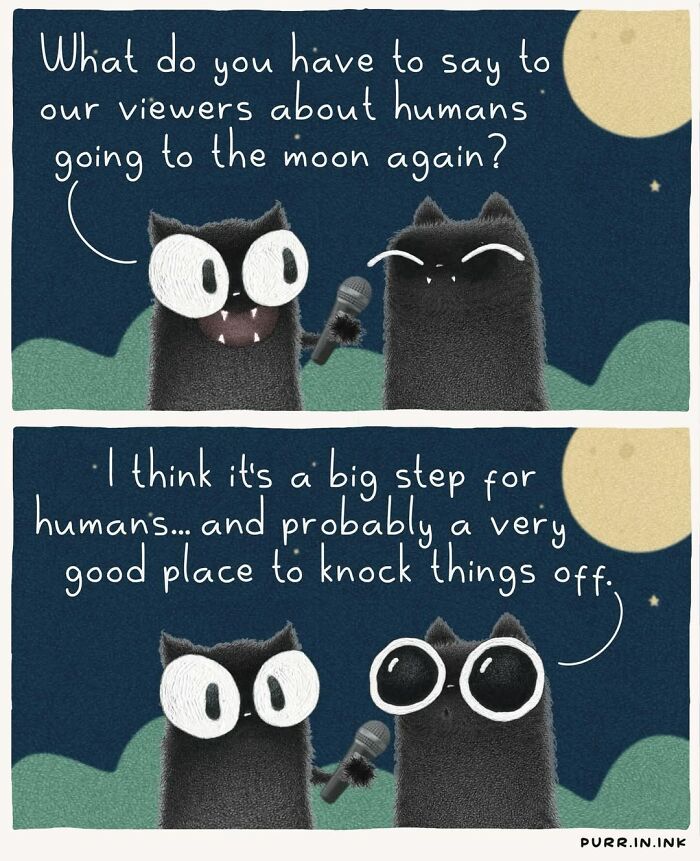30 Cat Illustrations That Nail The Weirdness Of Living With Cats