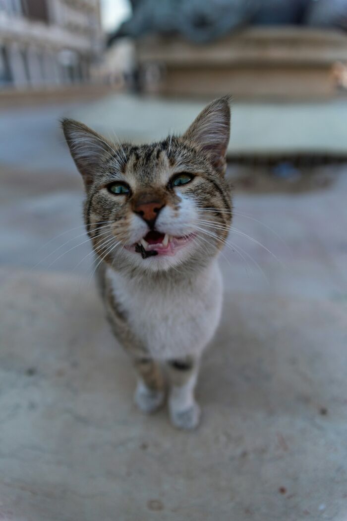 Wait, They Really Said That? 55 Hilariously Loud Neighbor Moments