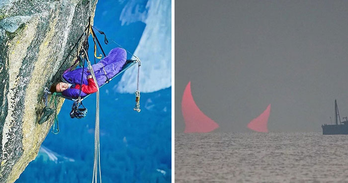 Wait, They Actually Ranked These Wild Pics?!
