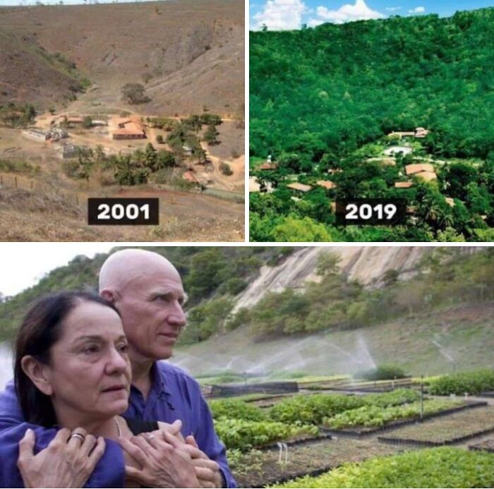 This Couple Planted 2 Million+ Trees To Bring A Forest Back