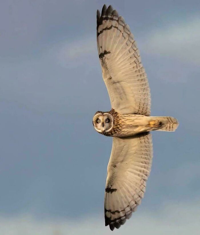 The Perfect Shot That’s Totally Worth It