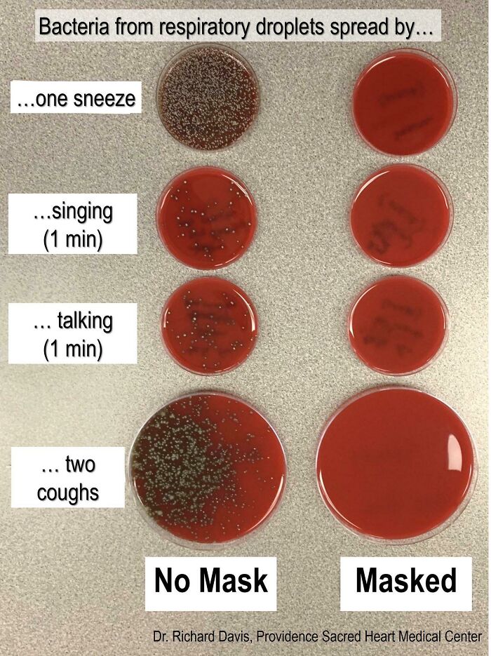 What Happens When A Doctor Sneezes Near A Plate, Mask vs No Mask