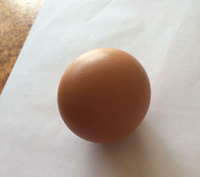 My Chicken Laid A Perfect Spherical Egg