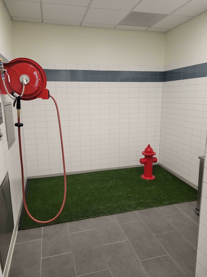 Airport Bathroom Designed Just For Service Animals