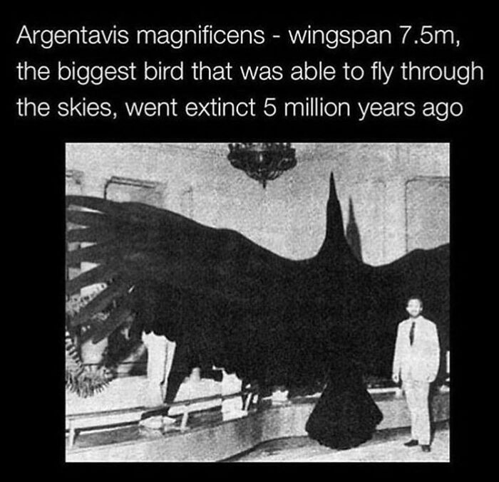 Why I’m Glad These Creatures Are Extinct