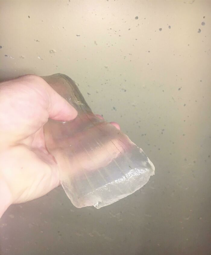 Check Out This 2-Pound Peeled Aloe Vera Leaf