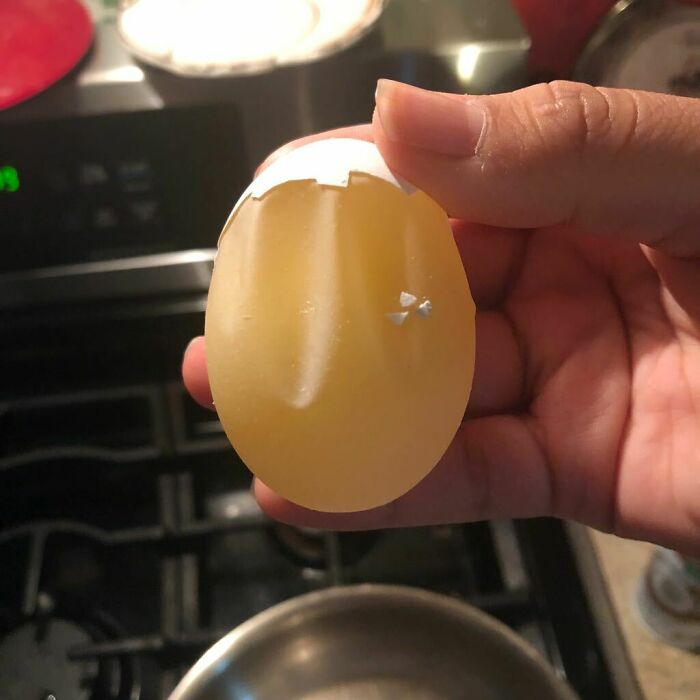 I Peeled A Fresh Egg Without Breaking The Membrane!