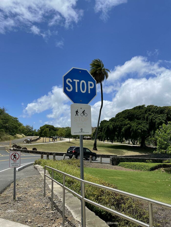Blue Stop Sign Spotted In Hawai’i