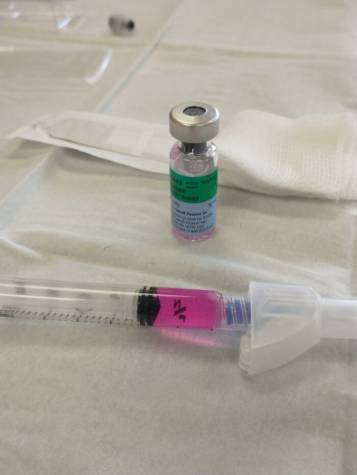 Rabies Vaccines Come In Purple? Crazy!