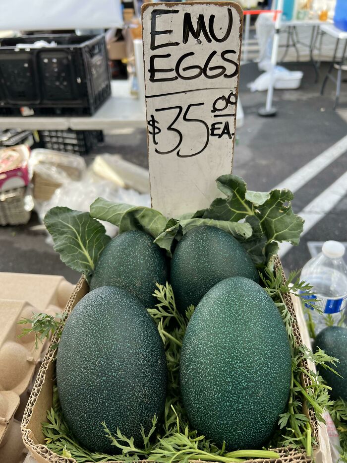 Local Farmers Market Sells Massive Emu Eggs