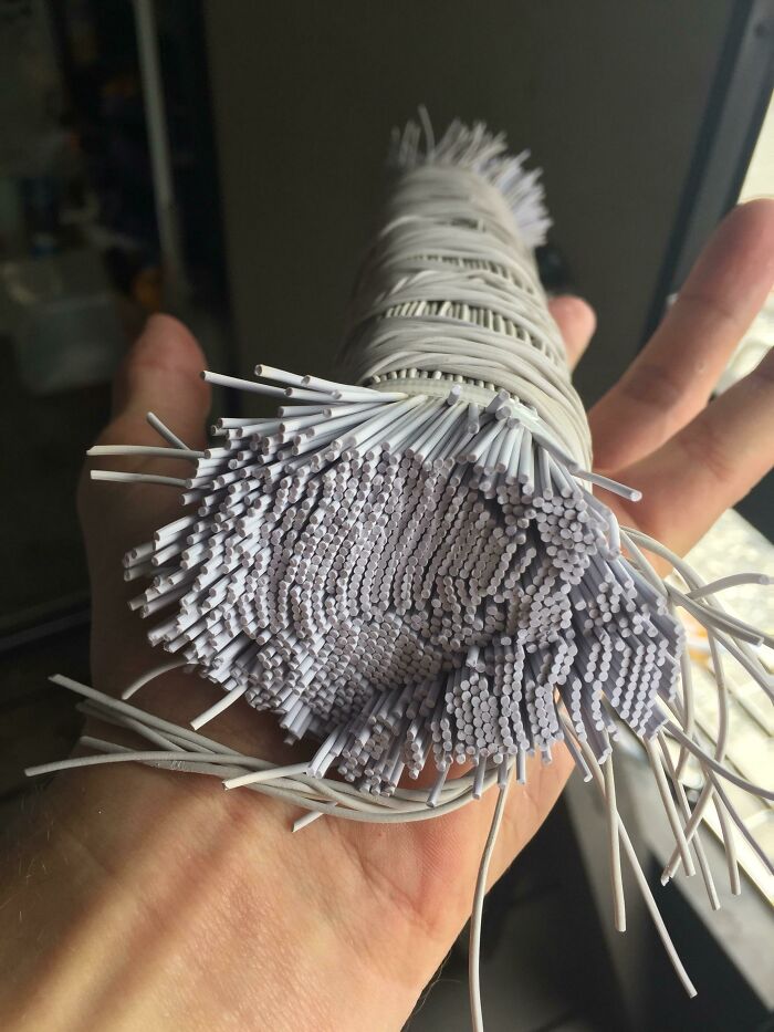 What A Bungy Cord Looks Like—The Inside Scoop