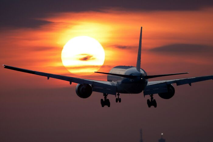The Wildest Questions Cabin Crew Actually Hear at 35,000 Feet