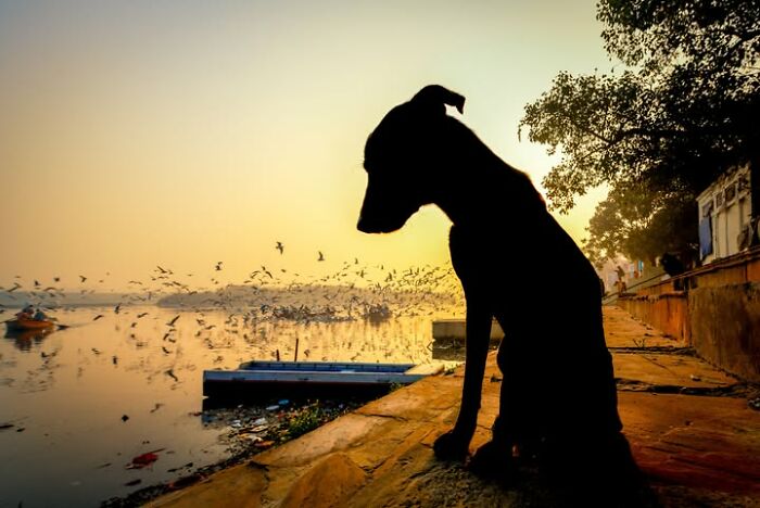 Wait, This Photographer Makes Everyday Stuff Look Like Magic! (35 Pics)