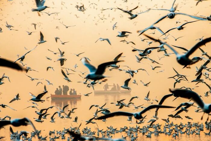 Wait, This Photographer Makes Everyday Stuff Look Like Magic! (35 Pics)