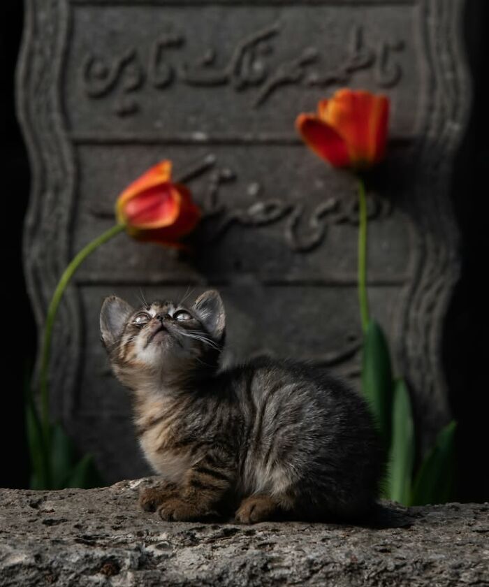 Wait, This Photographer Makes Everyday Stuff Look Like Magic! (35 Pics)