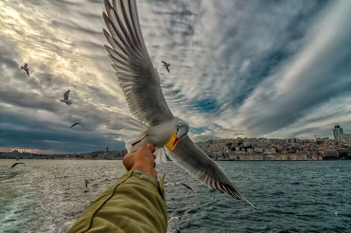 Wait, This Photographer Makes Everyday Stuff Look Like Magic! (35 Pics)