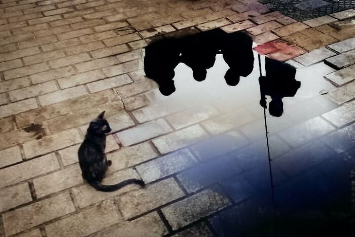 Wait, This Photographer Makes Everyday Stuff Look Like Magic! (35 Pics)