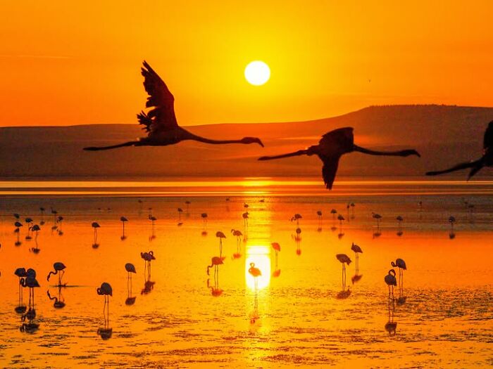 Wait, This Photographer Makes Everyday Stuff Look Like Magic! (35 Pics)