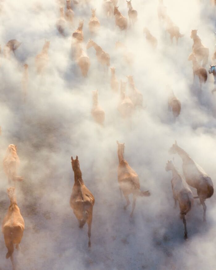 Wait, This Photographer Makes Everyday Stuff Look Like Magic! (35 Pics)