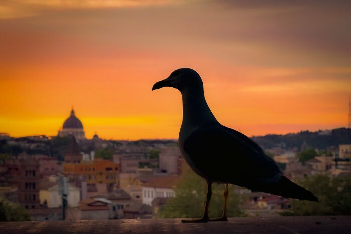 Wait, This Photographer Makes Everyday Stuff Look Like Magic! (35 Pics)