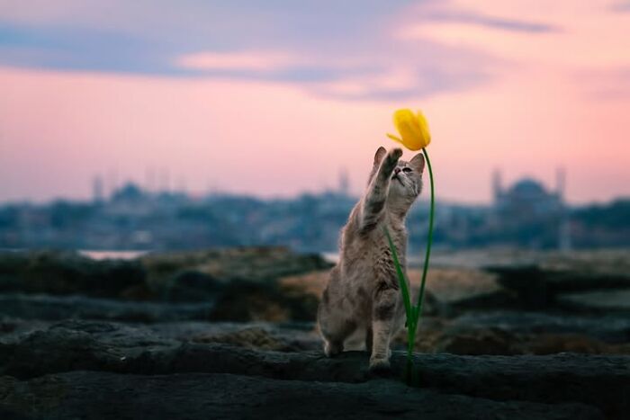 Wait, This Photographer Makes Everyday Stuff Look Like Magic! (35 Pics)