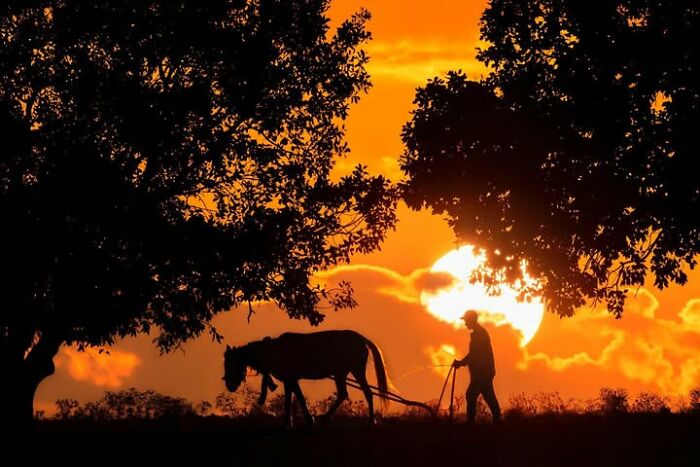 Wait, This Photographer Makes Everyday Stuff Look Like Magic! (35 Pics)