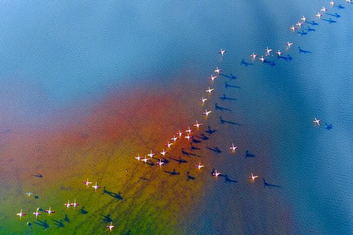Wait, This Photographer Makes Everyday Stuff Look Like Magic! (35 Pics)