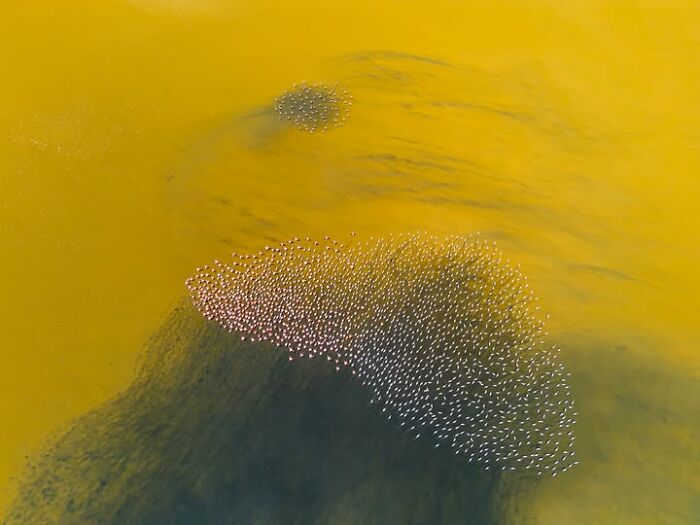 Wait, This Photographer Makes Everyday Stuff Look Like Magic! (35 Pics)