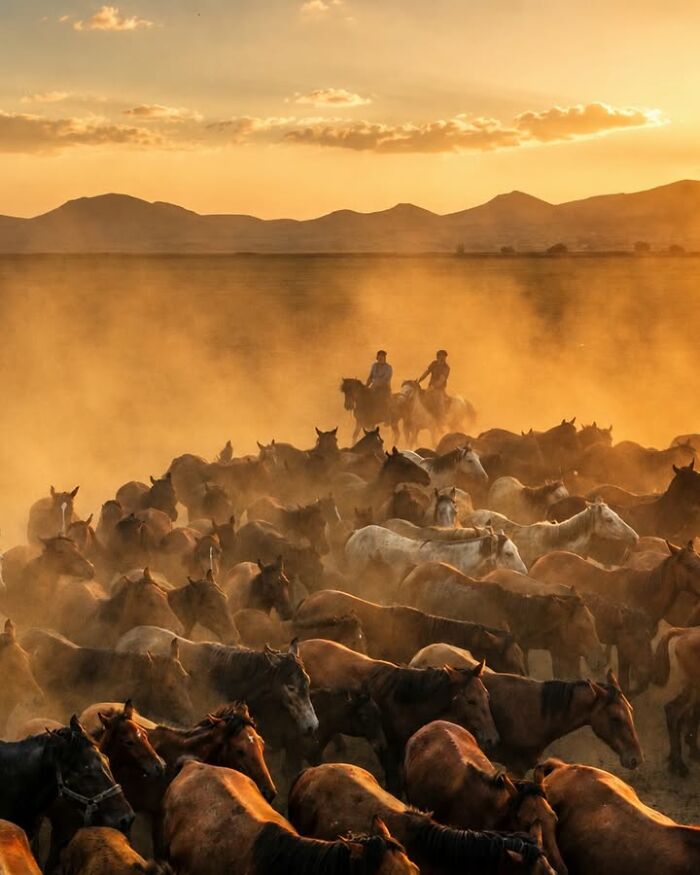 Wait, This Photographer Makes Everyday Stuff Look Like Magic! (35 Pics)
