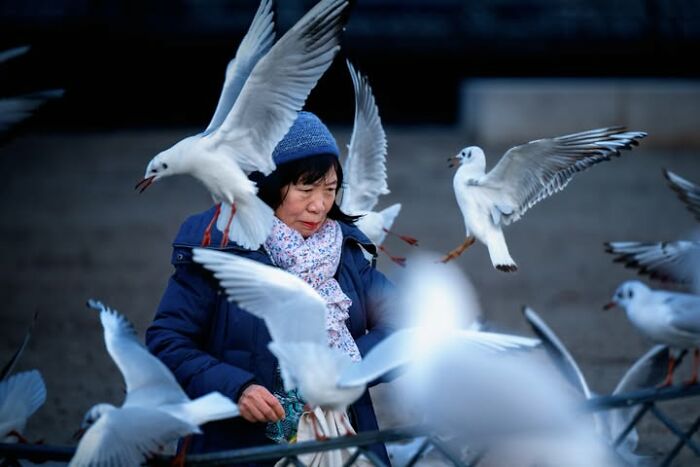 Wait, This Photographer Makes Everyday Stuff Look Like Magic! (35 Pics)