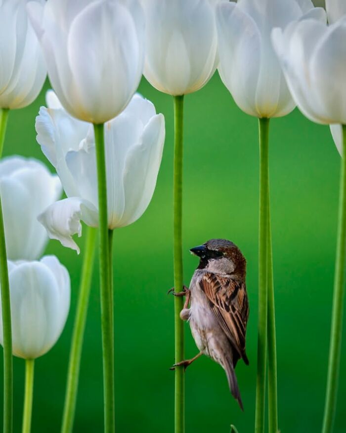 Wait, This Photographer Makes Everyday Stuff Look Like Magic! (35 Pics)