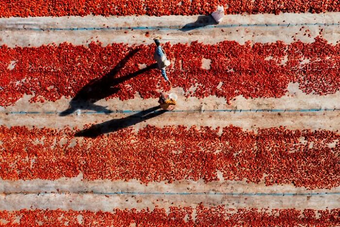 Wait, This Photographer Makes Everyday Stuff Look Like Magic! (35 Pics)