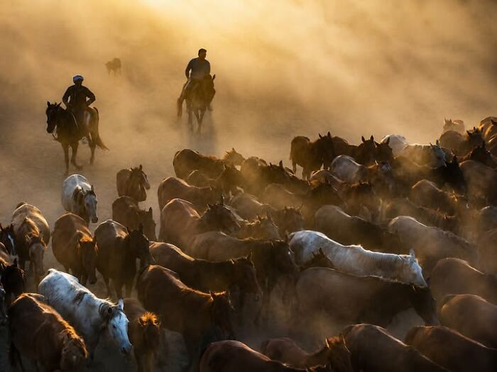 Wait, This Photographer Makes Everyday Stuff Look Like Magic! (35 Pics)