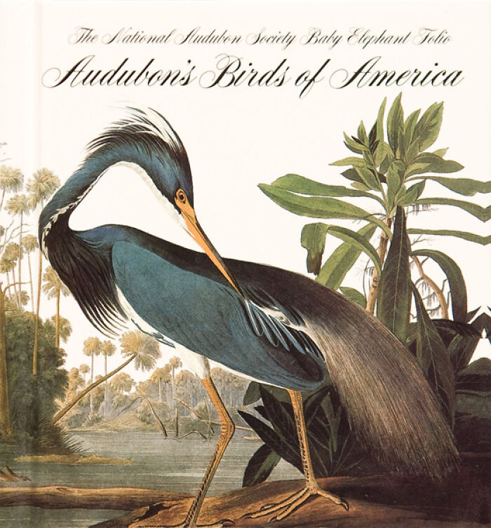 $11.57 Million To Own Life-Size Bird Art