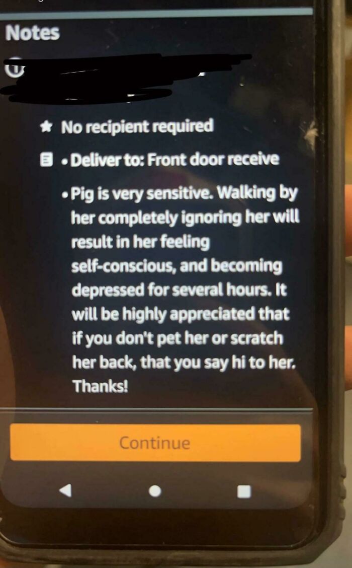 My Friend Works at Amazon and These Delivery Instructions Are Next Level