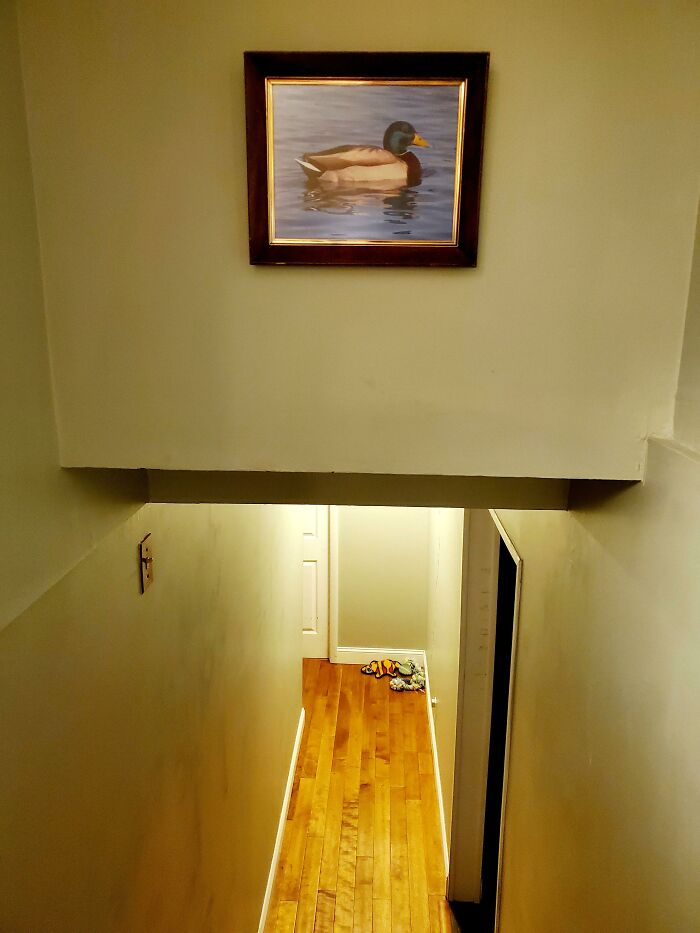 Heads Were Bumping on My Stairs, So I Hung a Sign. Genius or Nah?