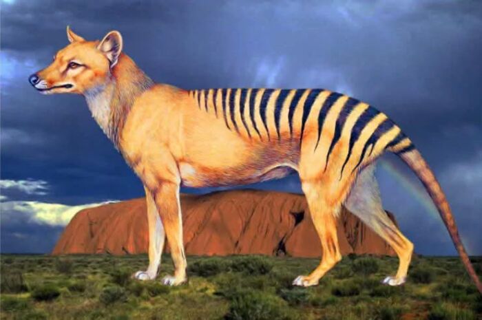 Wait, People Actually Did These Wild Things?!