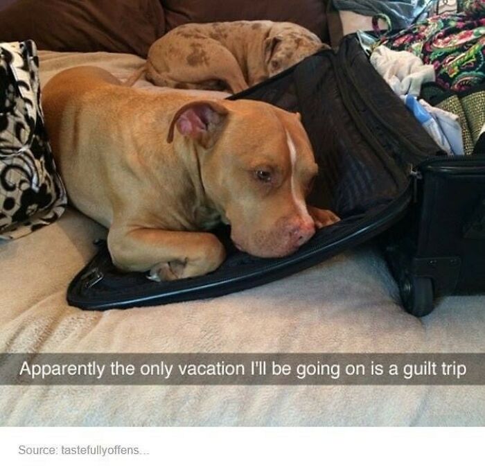 These Travel Memes Are Way Too Real (We Can’t Stop Laughing)
